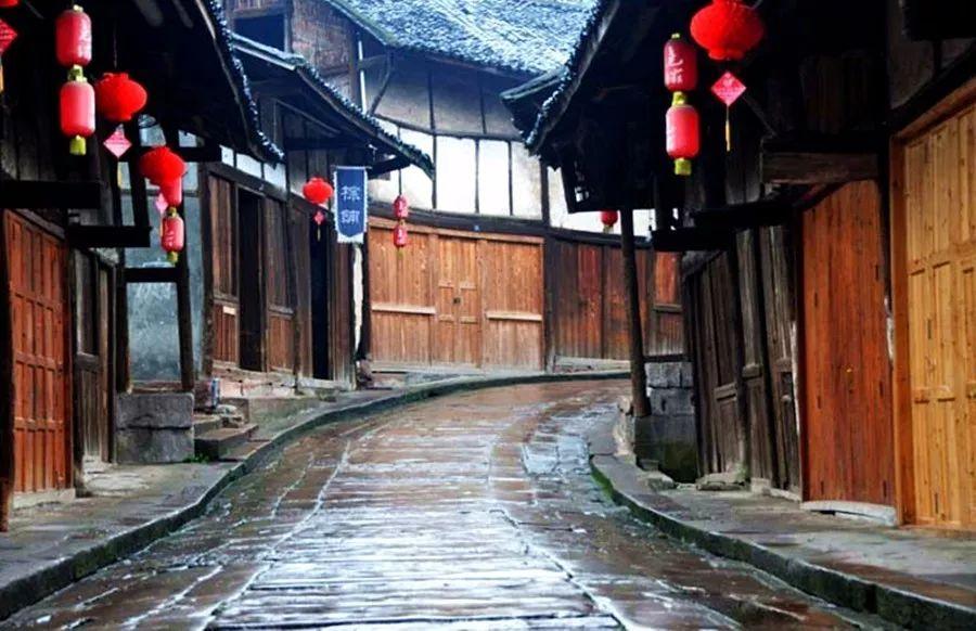 五彩鹦鹉救援